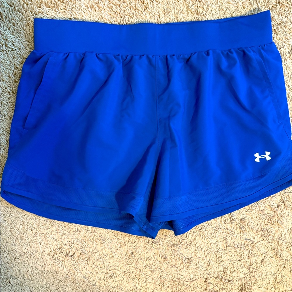 Under Armour Women's Blue Shorts